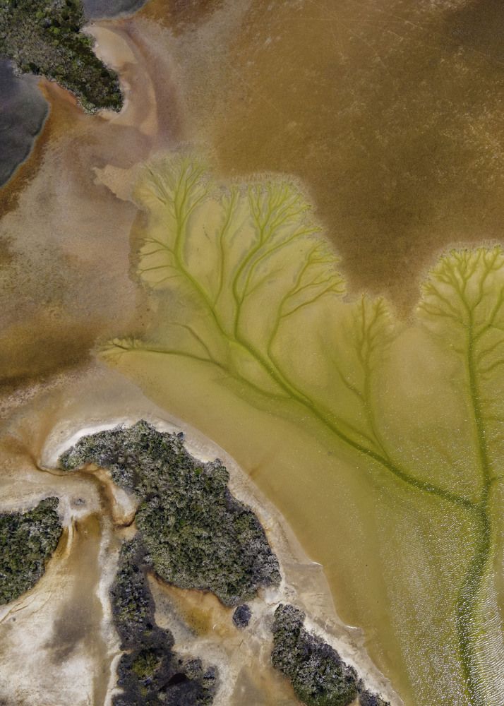 Photograph by Derry Moroney