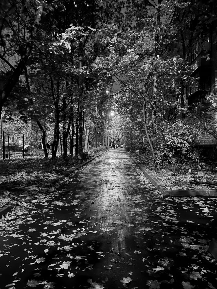 Фотография автора Юлия Костина