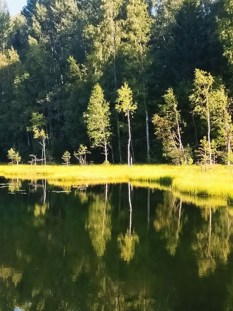 Photograph by Бамблевская Любовь Игоревна