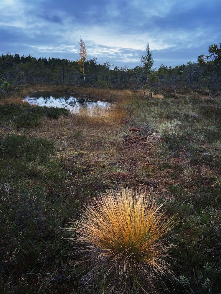 Photograph by Роман Крутов