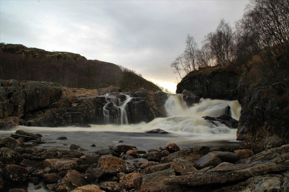 Фотография автора светлана терехова