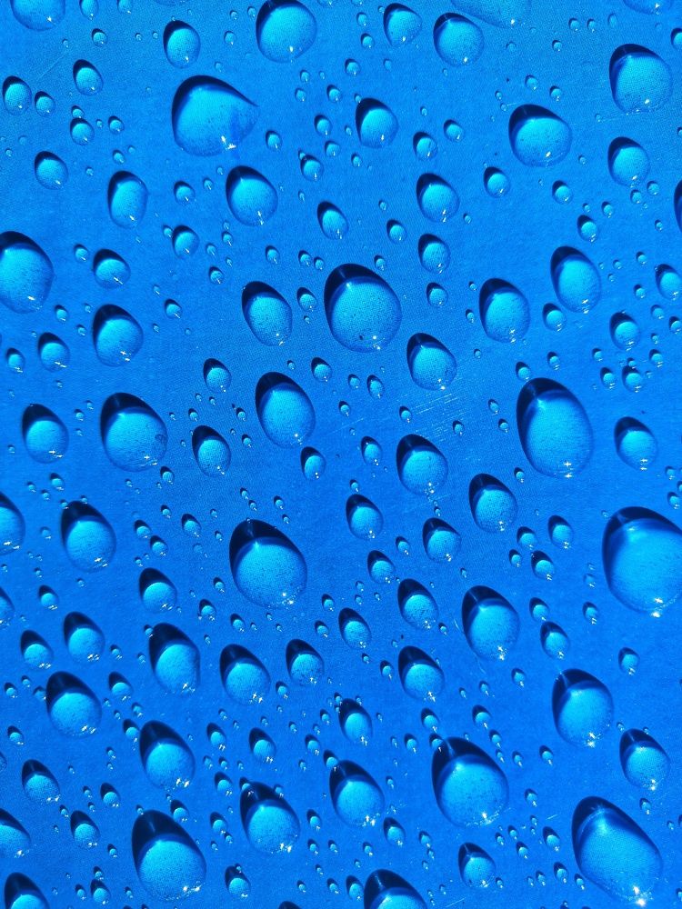 Photograph by Вадим Сташкевич