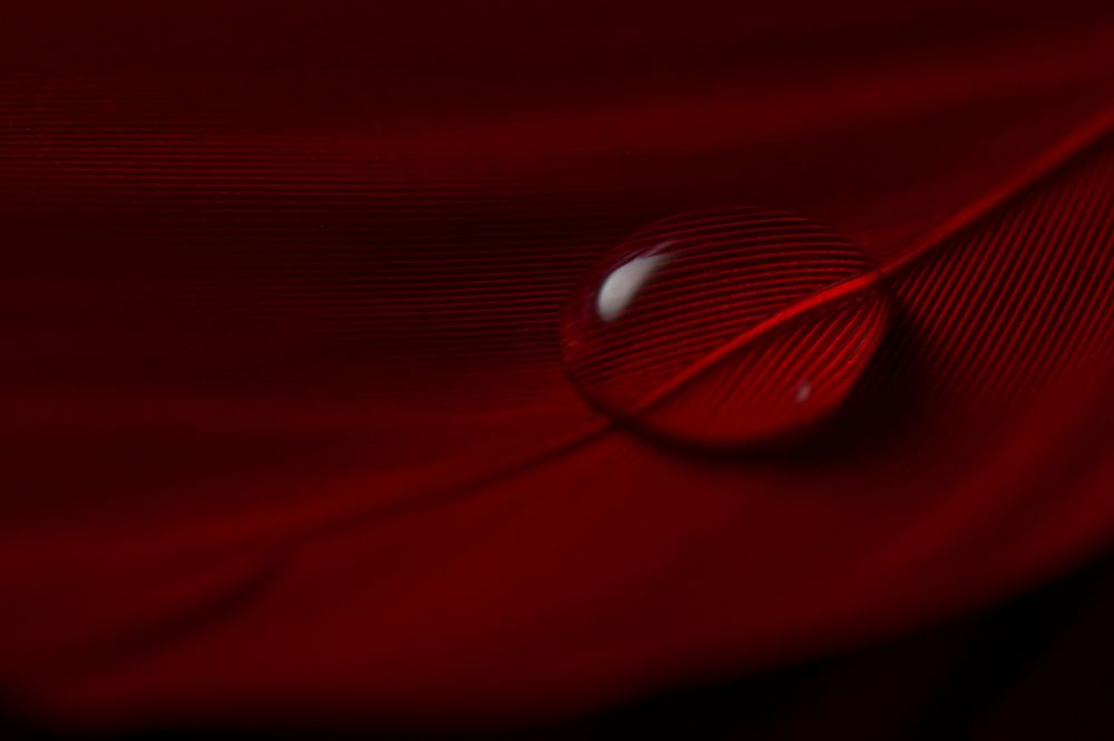 Фотография автора Александра Елагина