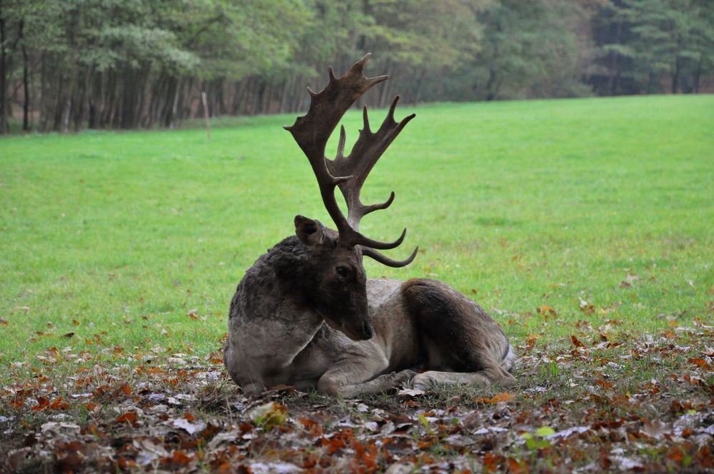 Photograph by Лысых Галина