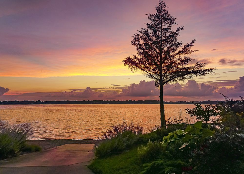 Photograph by Silvia Marcos