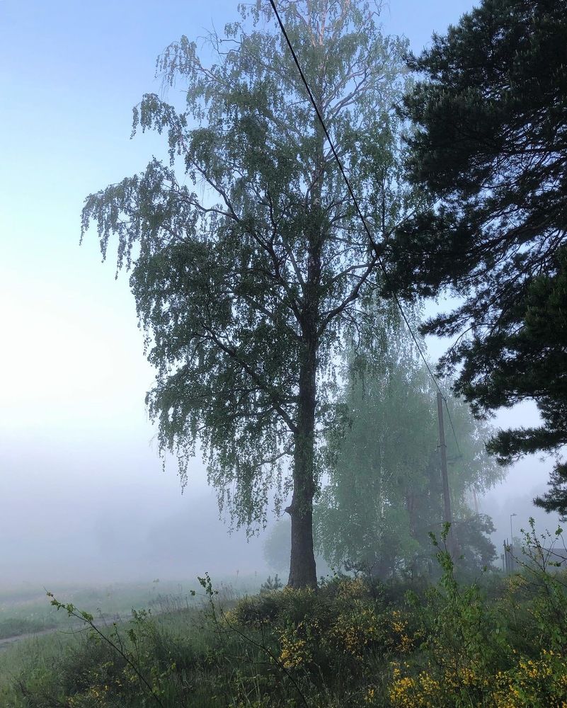 Photograph by Лариса Акинчиц