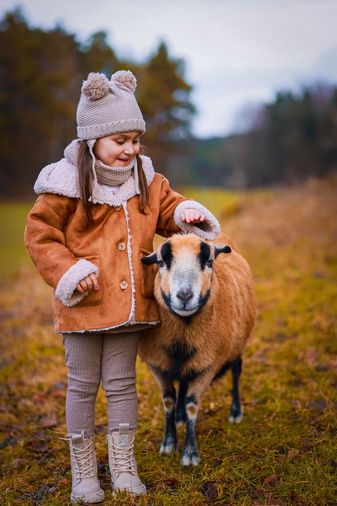 Первые осенние дни