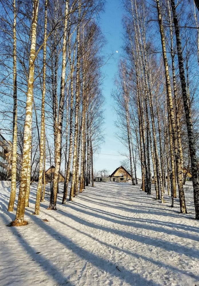 Фотография автора Альбина Хвастунова