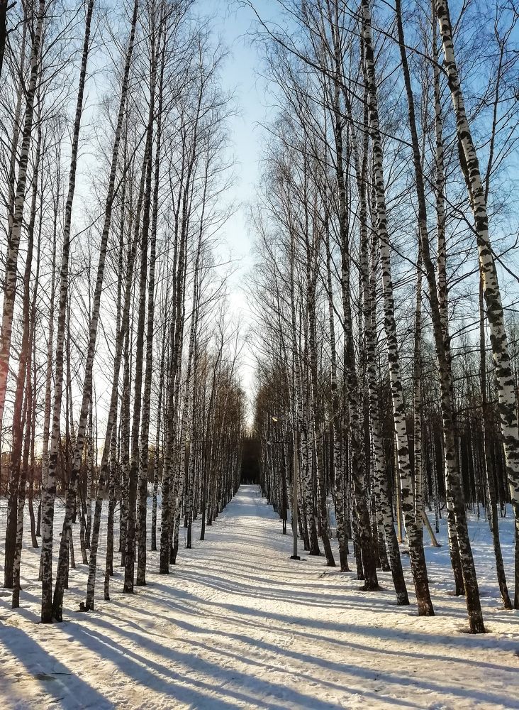 Фотография автора Альбина Хвастунова