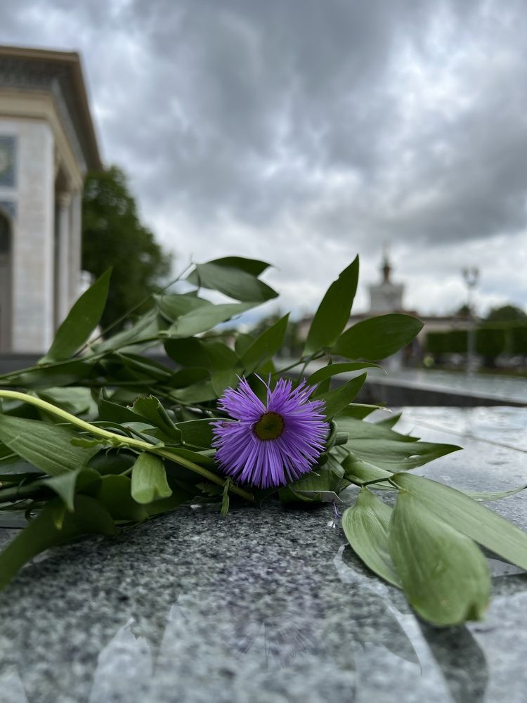 Photograph by Анна Лепихина