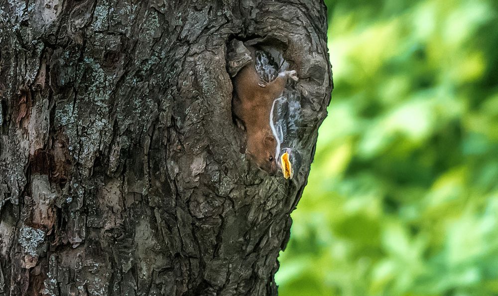 Photograph by Владимир Безбородов