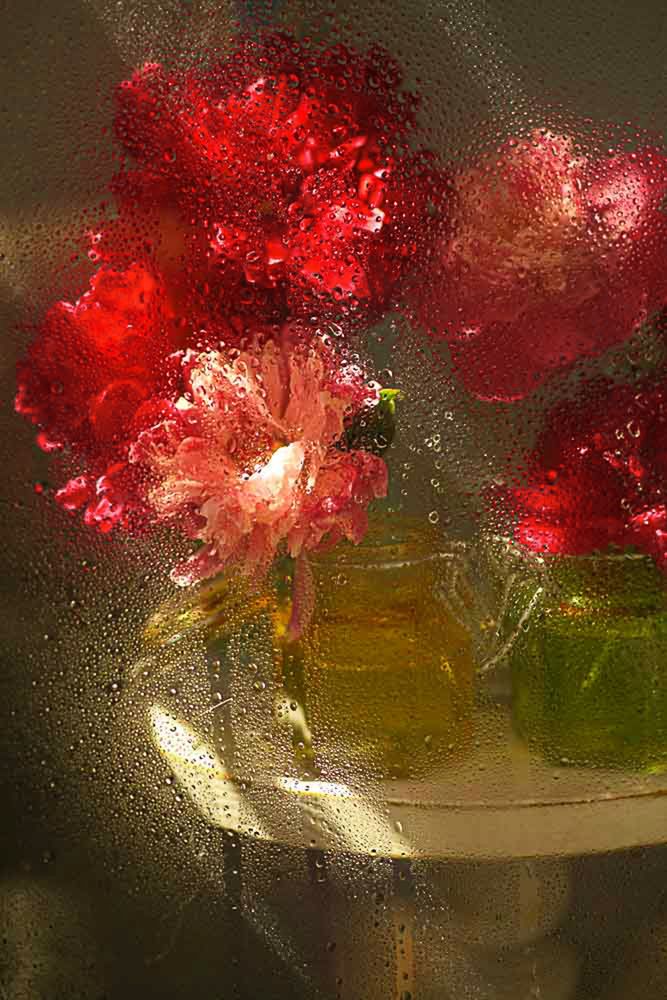 Photograph by Светлана Кавказская