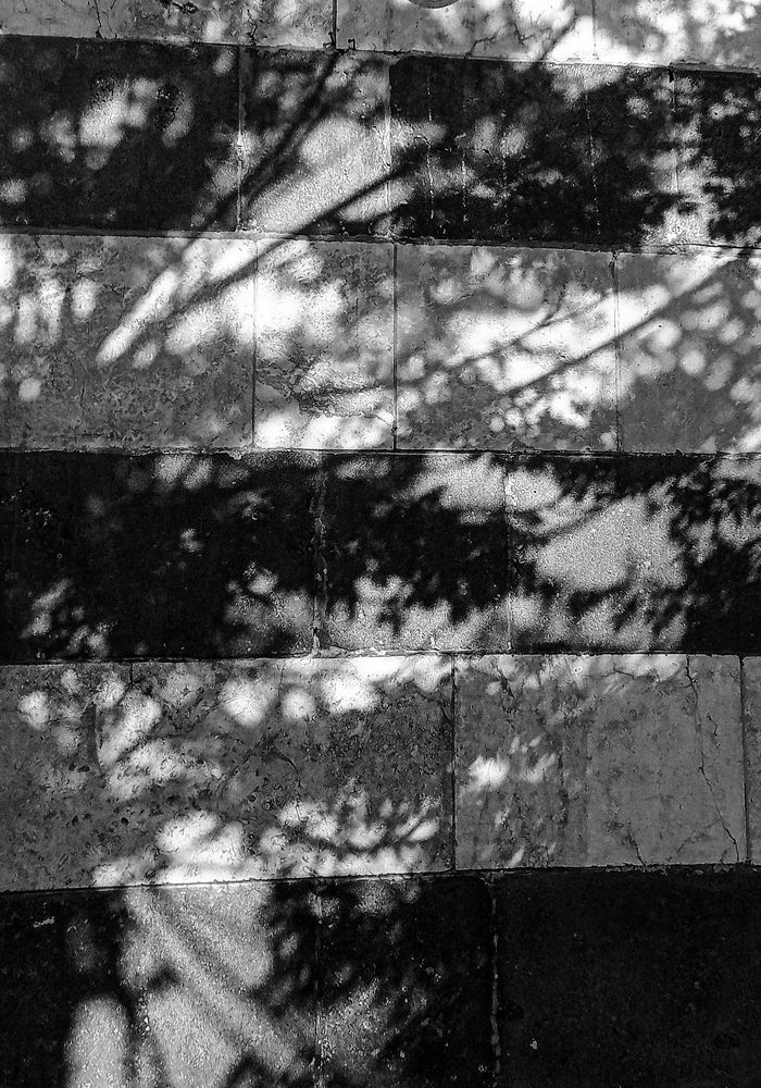 Photo #8365478
