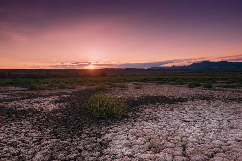 Photograph by Helen Vasilieva