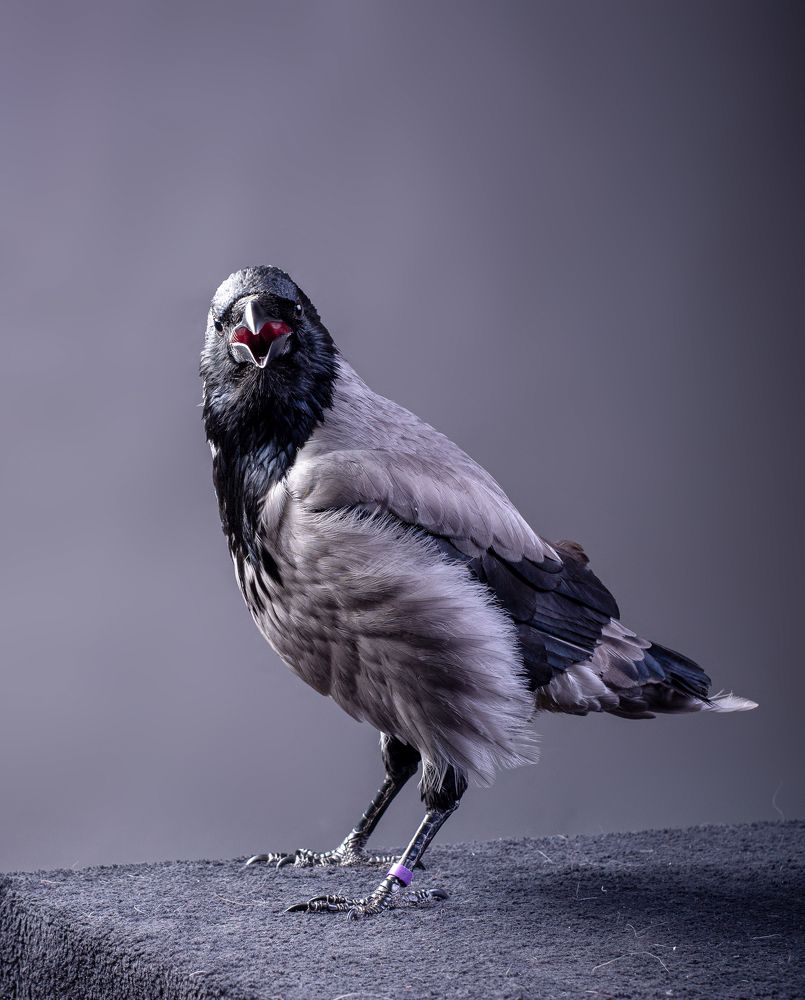 Photograph by наталья залогина