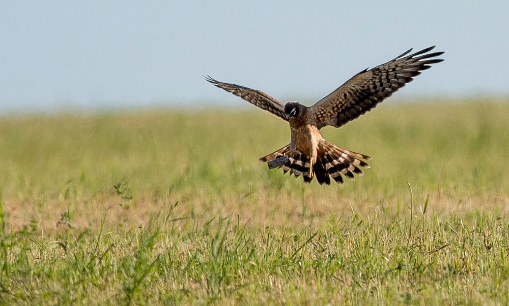 Photograph by Владимир Безбородов