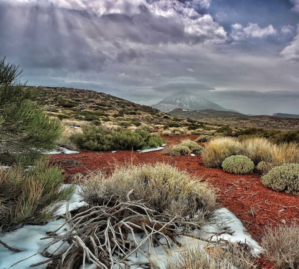 Photograph by Cristian Lema