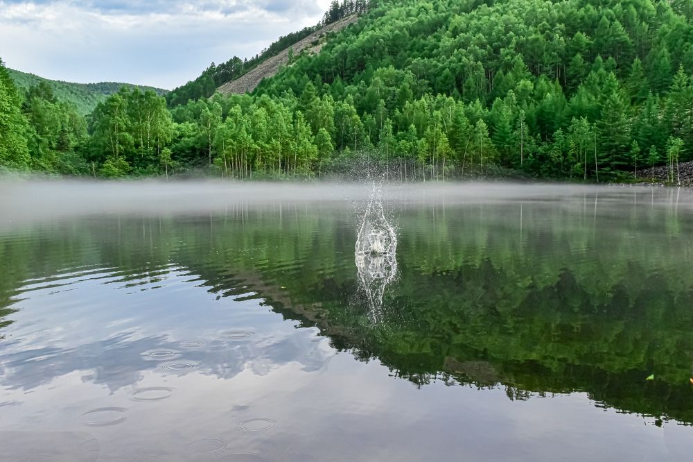 Photograph by 