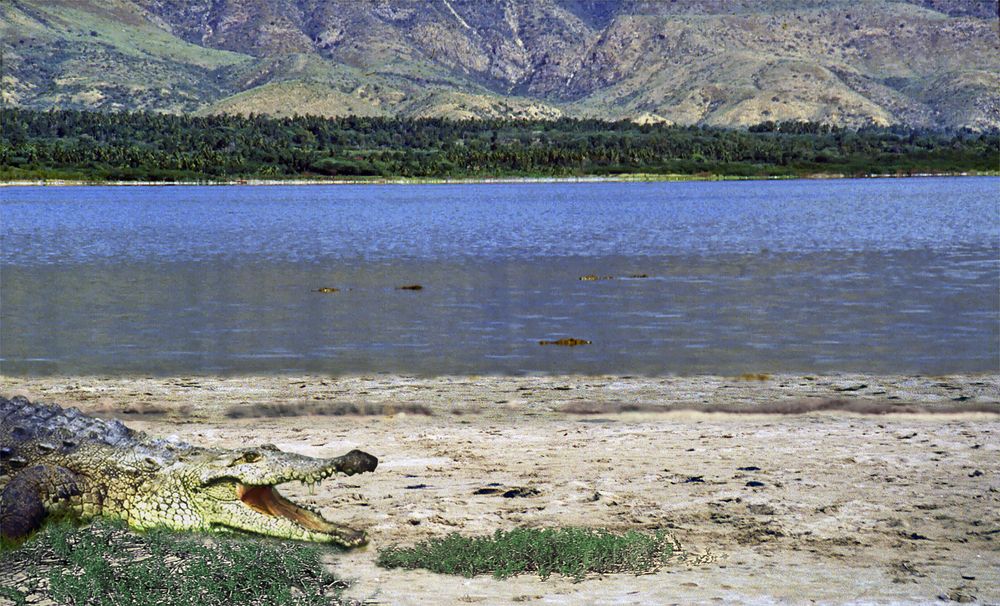 Photograph by Luciano Comba