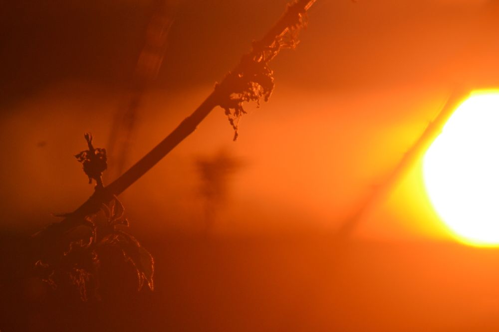 Photograph by Николай Дмитриев