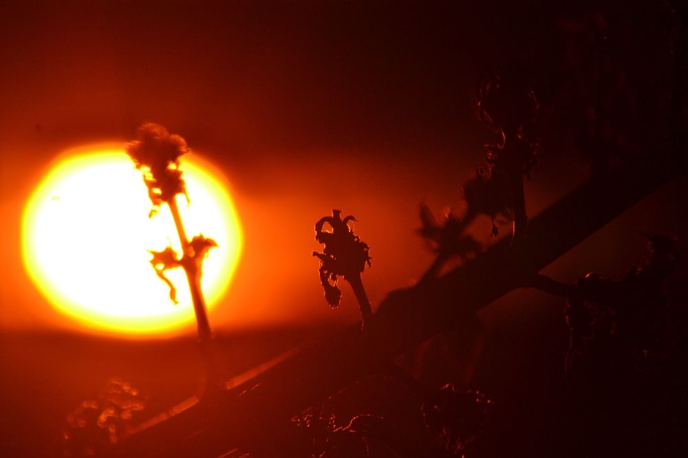 Photograph by Николай Дмитриев