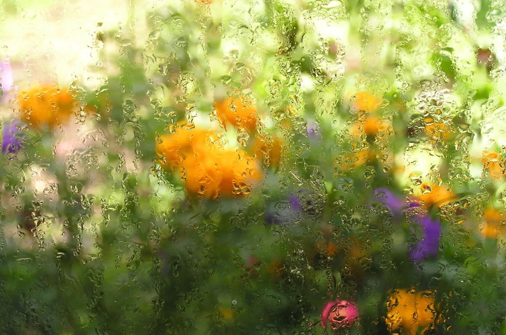 Photograph by Александр Пургин