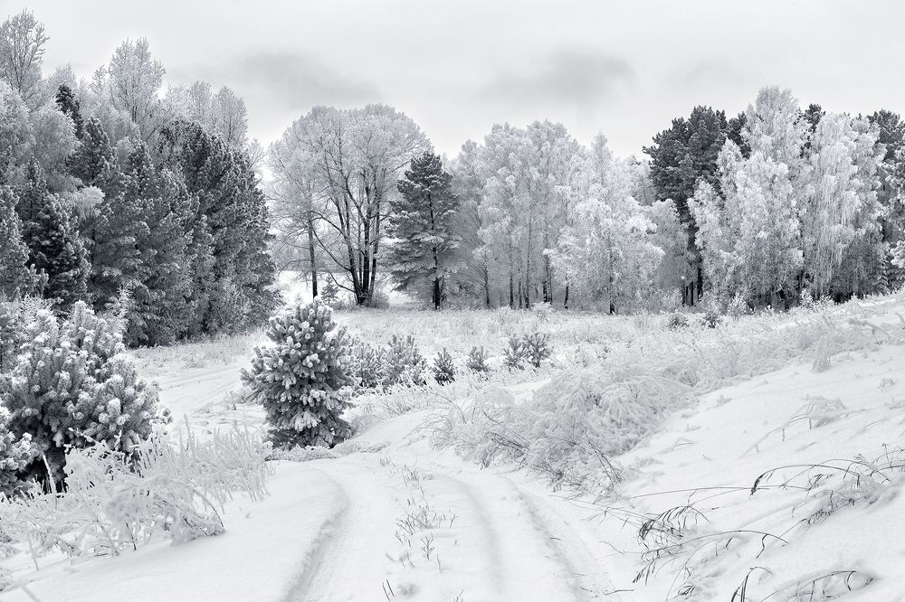 Photograph by Олег Тетерин