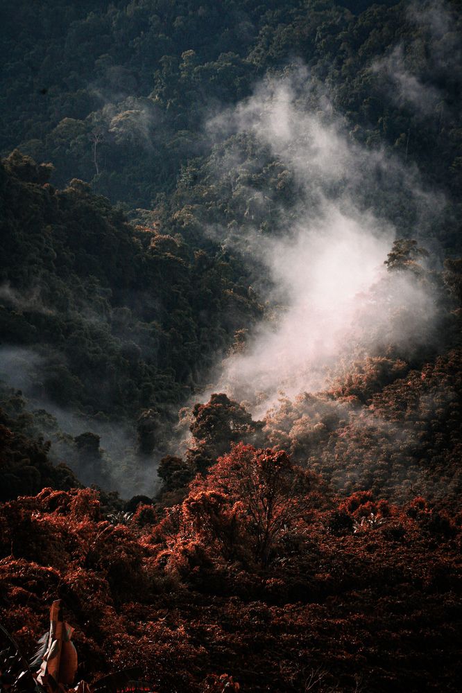 Photograph by hoang kuno