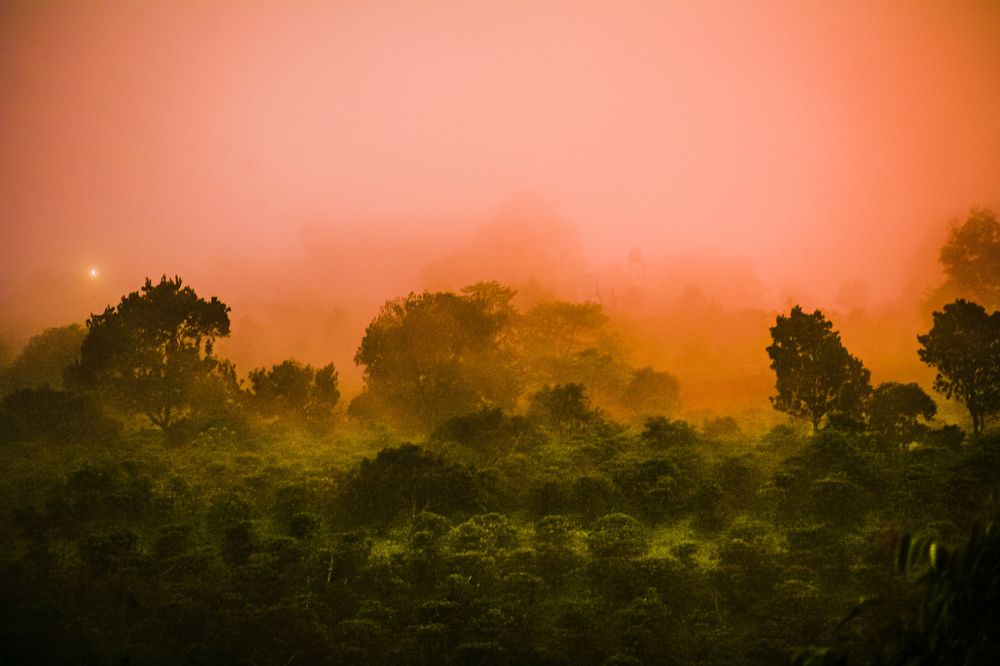 Photograph by hoang kuno