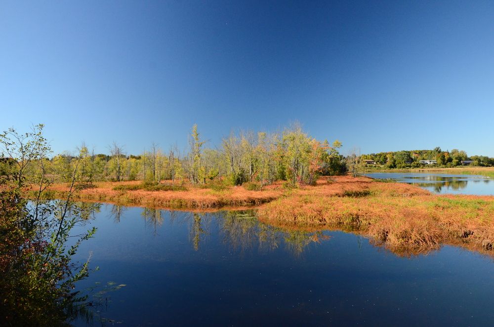 Photograph by Ken Oliver