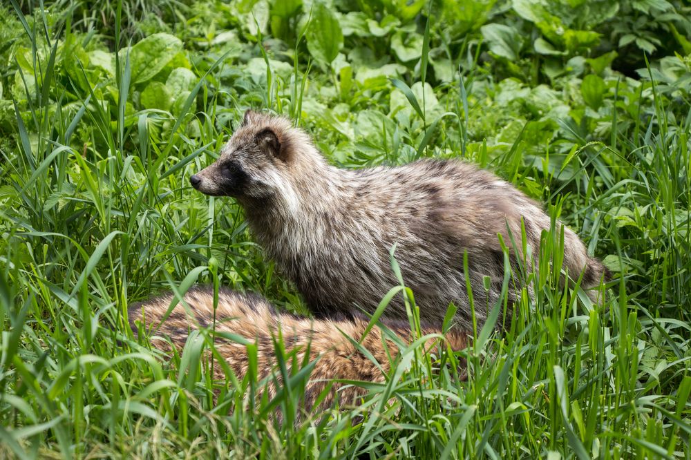 Photograph by Елена Кондратьева