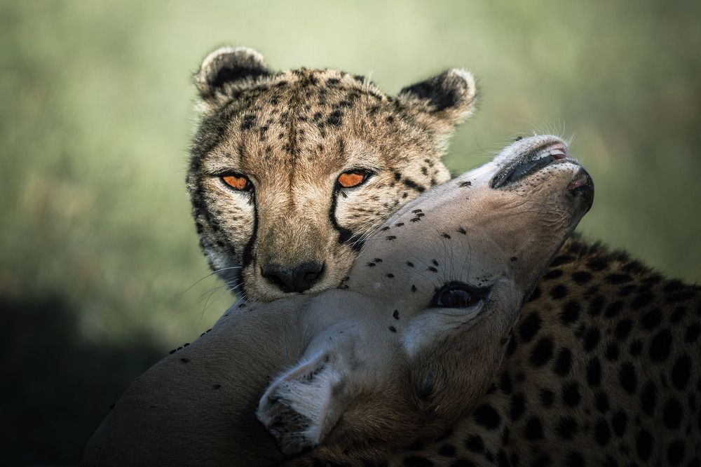 Photograph by Ratnadwip Saha