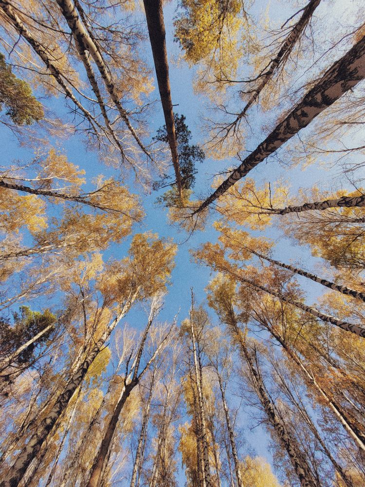 Photograph by Константин Агеев