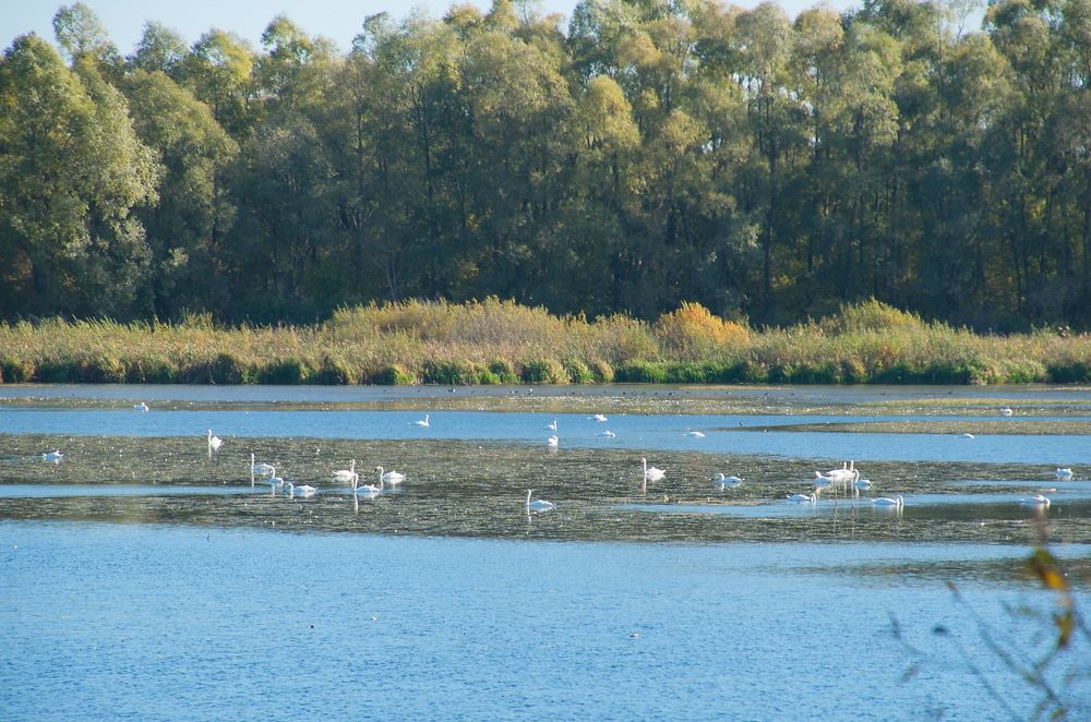 Photograph by Василий Быстрицкий