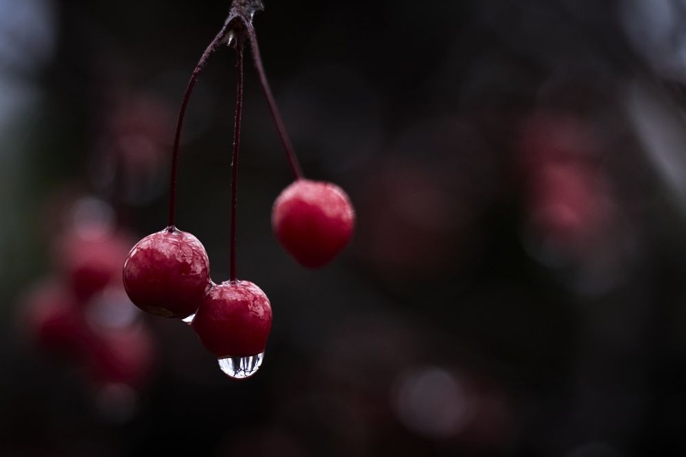 Photograph by Татьяна Полянская