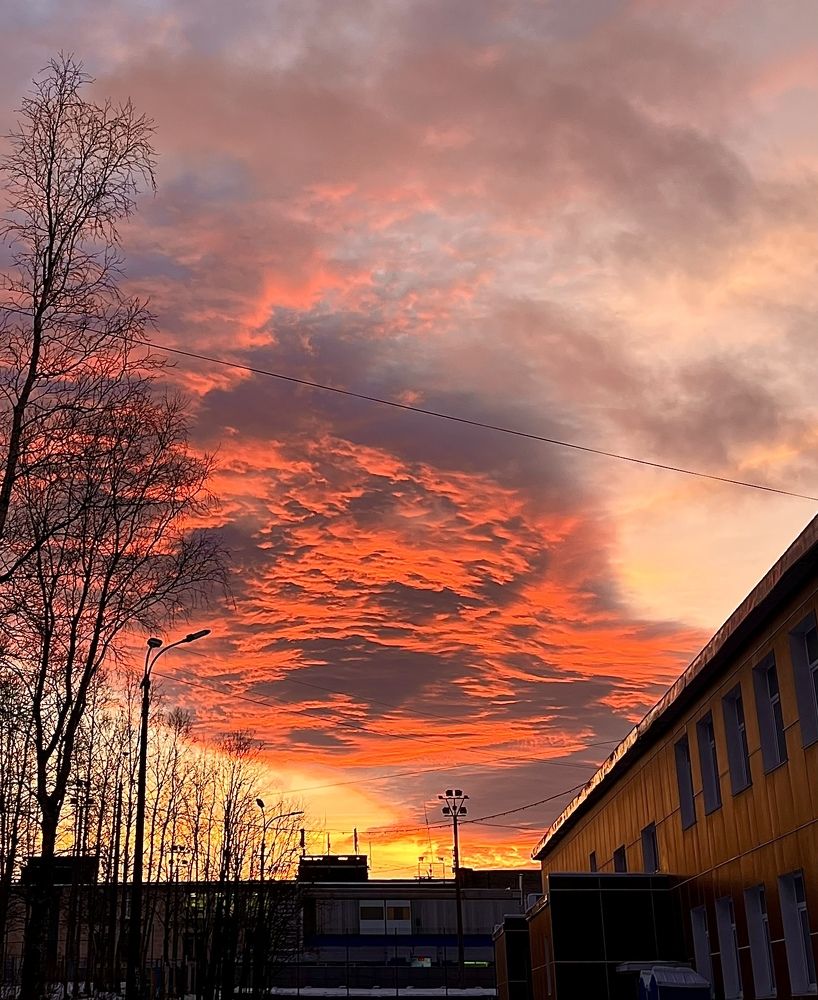 Photograph by Ekaterina Chernyshova