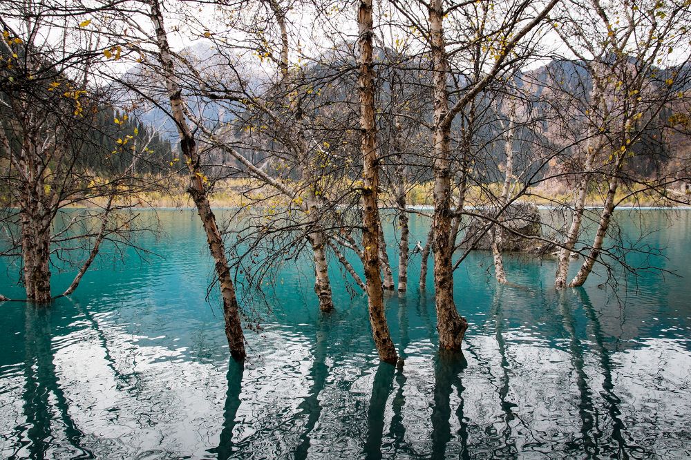 Photograph by Dmitriy  Dodonov