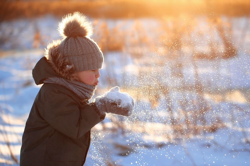 Солнечное утро, мороз и пушистый снег...