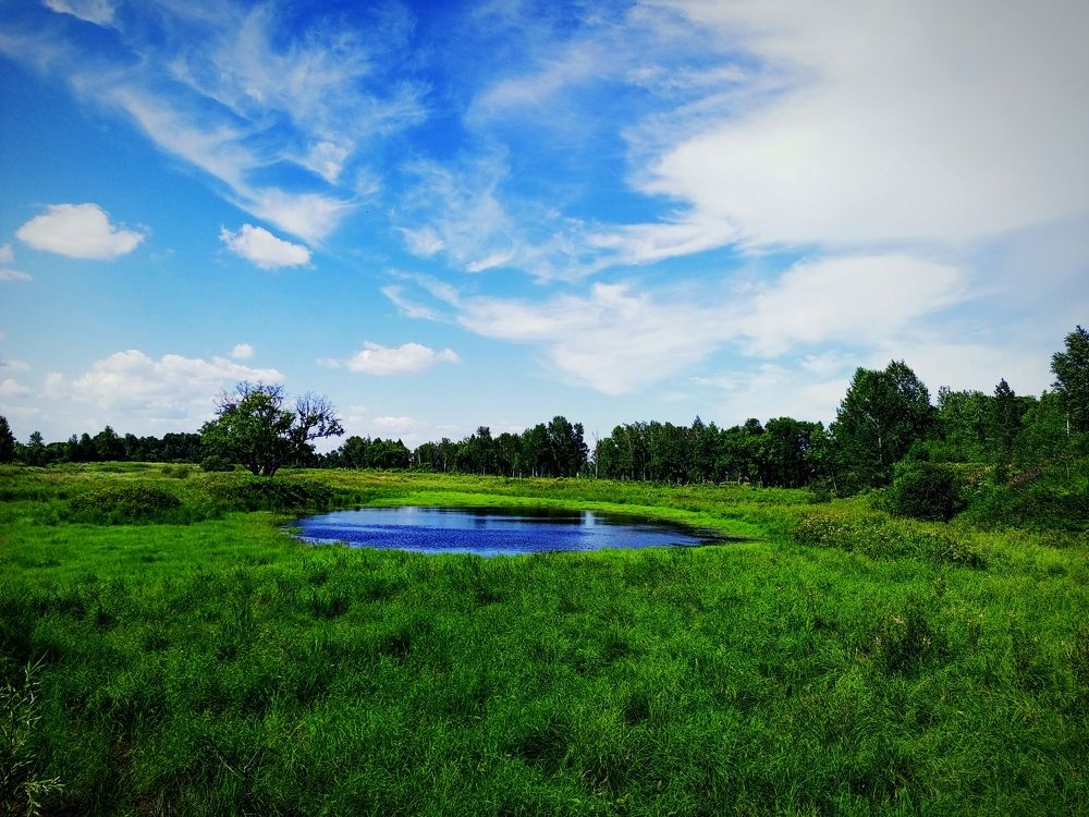 Photograph by Александра