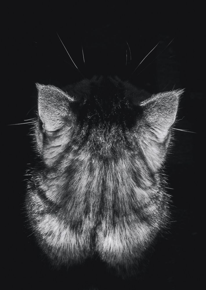 Photograph by Дмитрий Головко