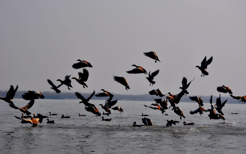 Photograph by SANDEEP KUMAR SHARMA