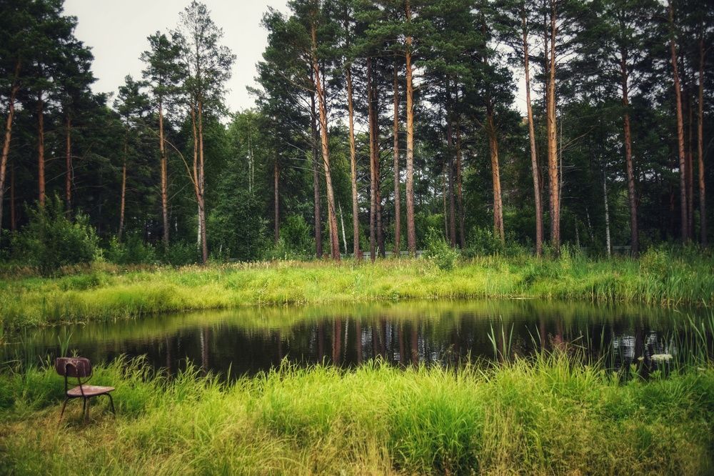 Photograph by Митюшкова Алёна