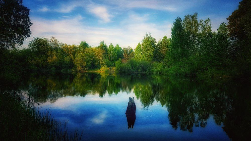 Photograph by Митюшкова Алёна