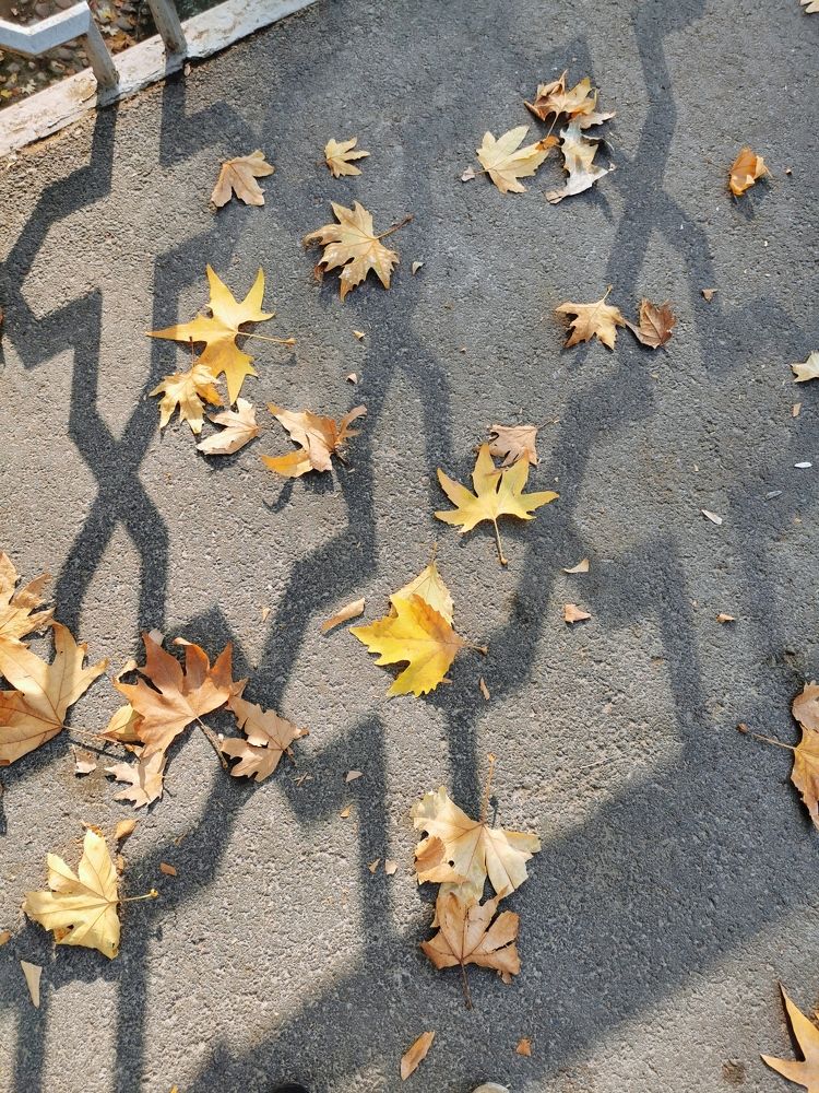 Photograph by Gaukhar Yerkimbekova