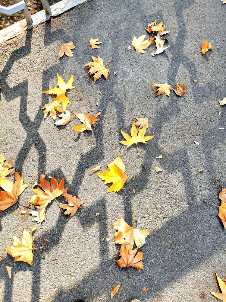 Photograph by Gaukhar Yerkimbekova