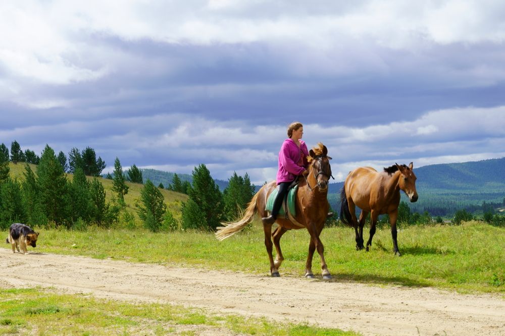 Утро в Тажеранах.