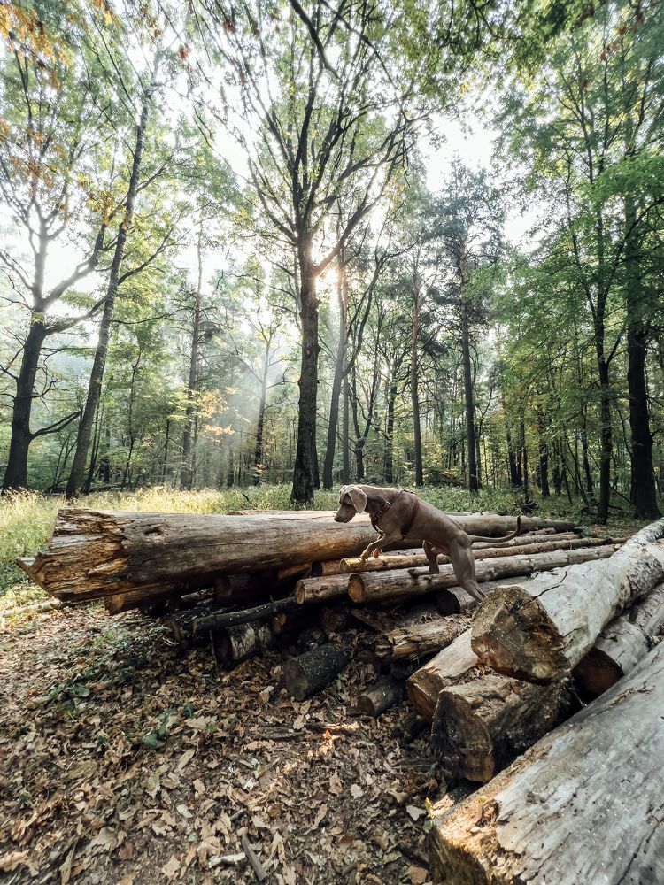 Photograph by Александра Липкина