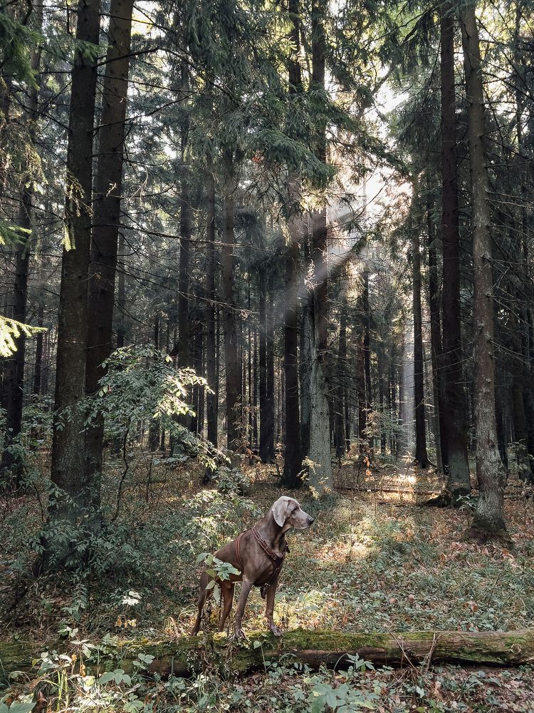 Photograph by Александра Липкина