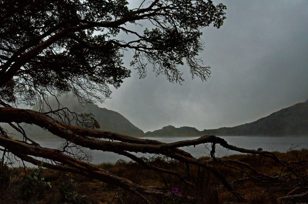 Photograph by Eli Larrucea