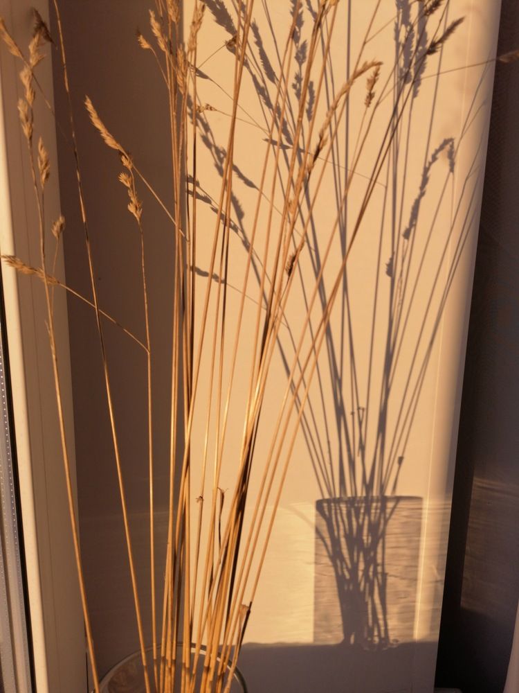 Photograph by Мария Гиниатуллина